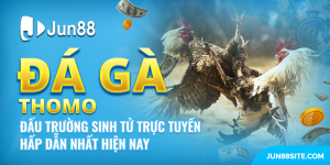 Da Ga ThoMo Dau Truong Sinh Tu Truc Tuyen Gay Can Nhat Hien Nay